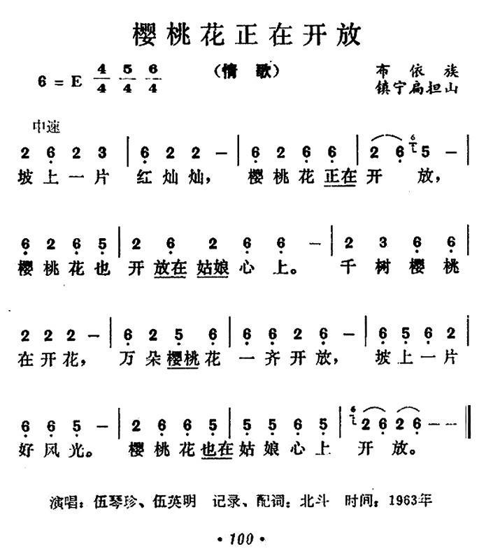 樱桃花正在开放(1).jpg