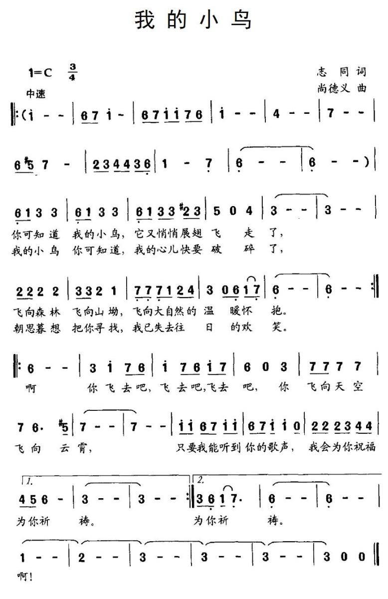 我的小鸟(1).jpg