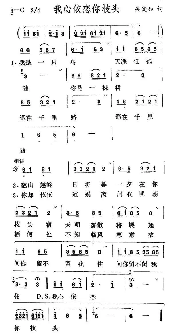 我心依恋你枝头(1).jpg